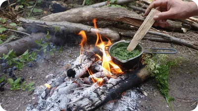 cooking food on a campfire