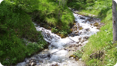 outdoor stream with rapidly flowing water