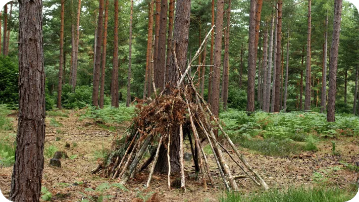 Survival TeePee shelter
