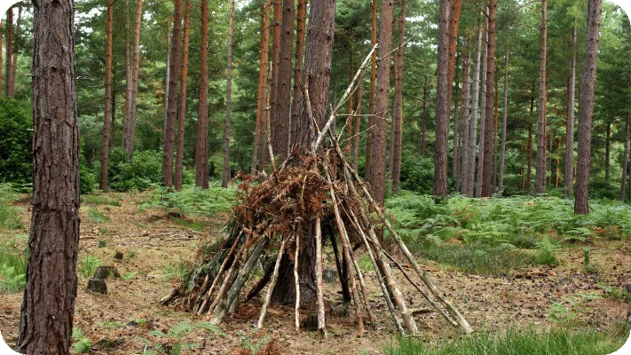 13 Bushcraft And Survival Shelters - The Ultimate Guide