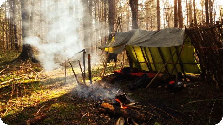 Swamp Survival Camping & Bushcraft (No Tent) - Hunting & Eating Frogs 