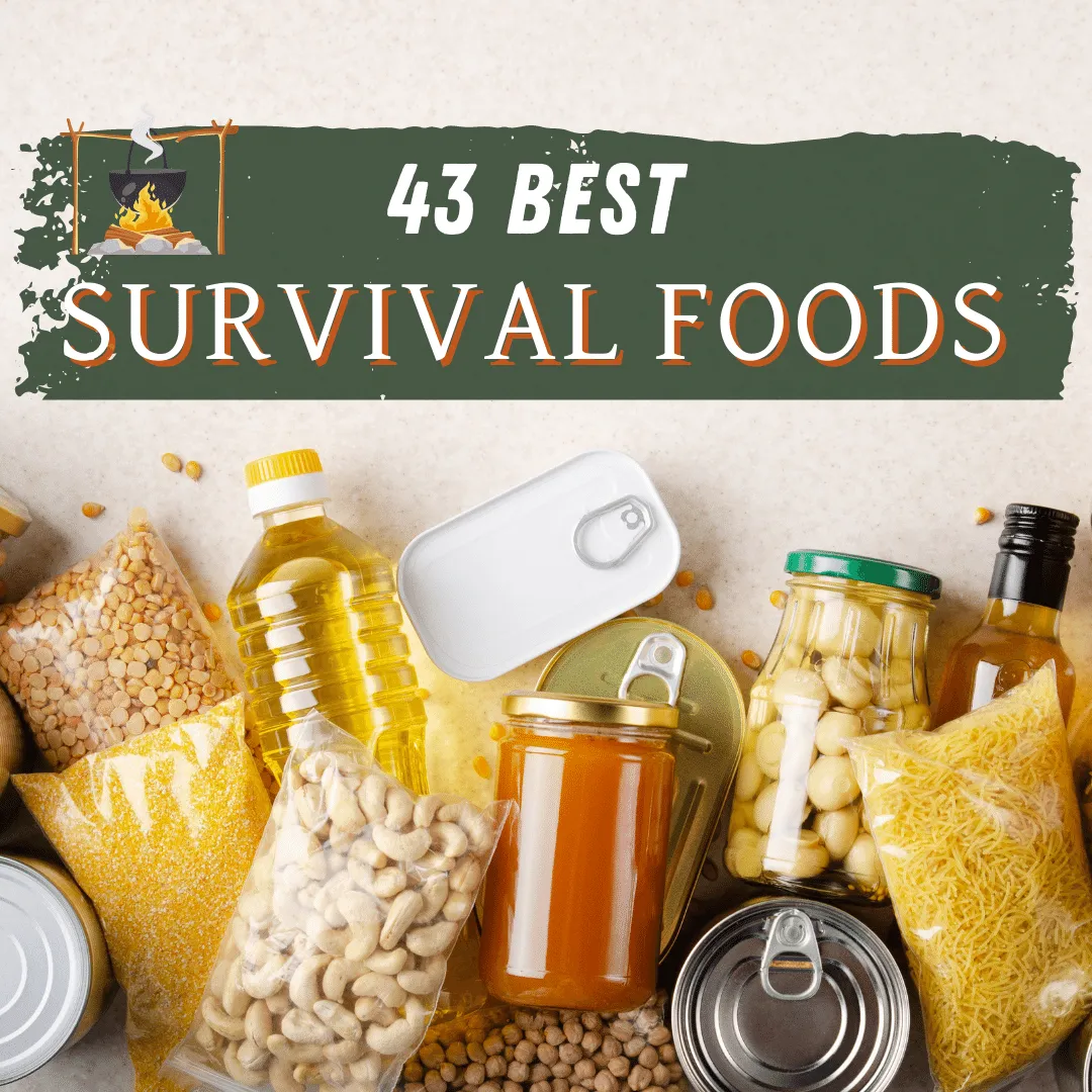 43 Best Survival Foods