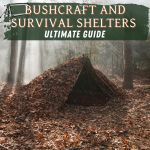 Bushcraft and Survival Shelters: The Ultimate Guide
