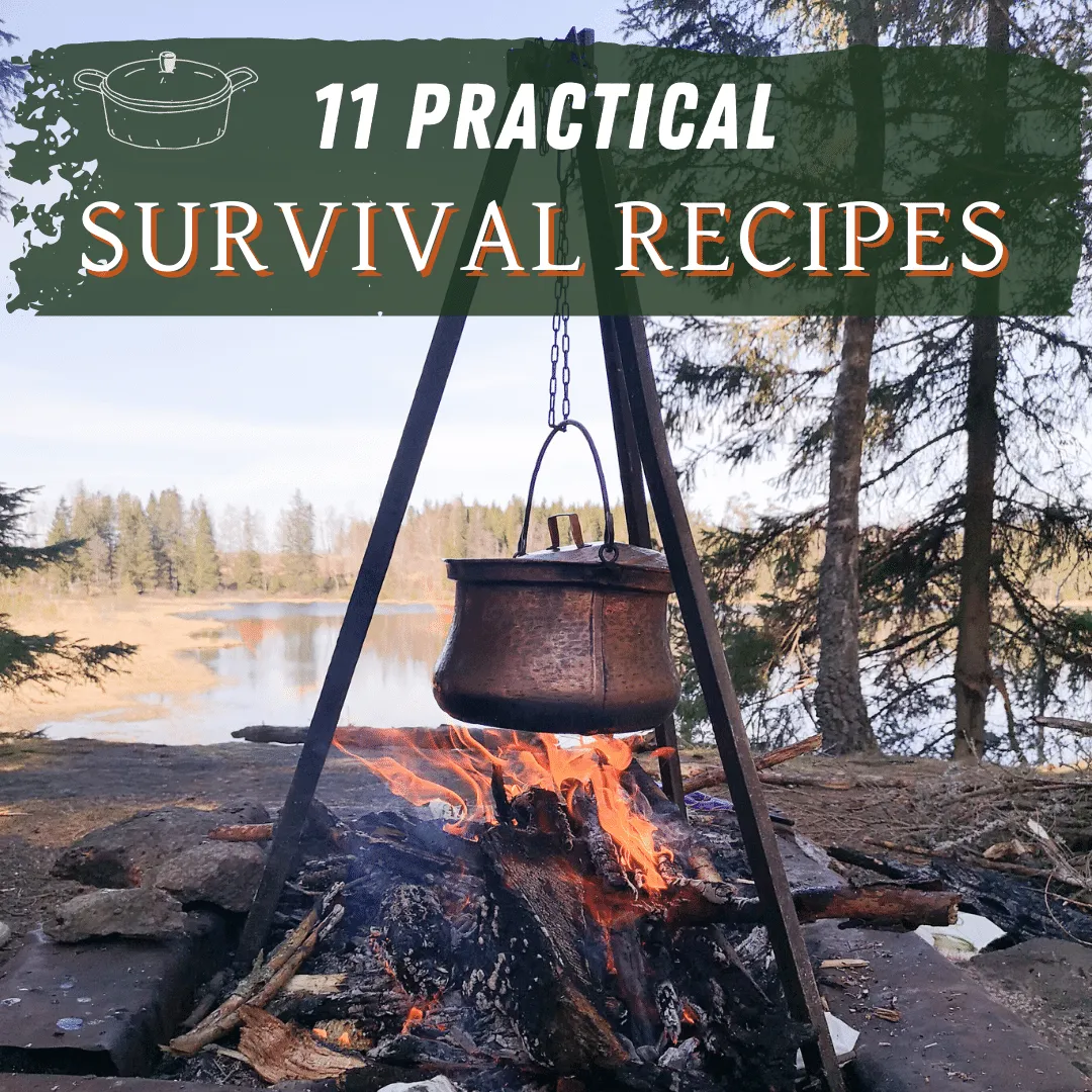 11 Easy and Practical Survival Recipes