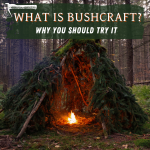 What is Bushcraft