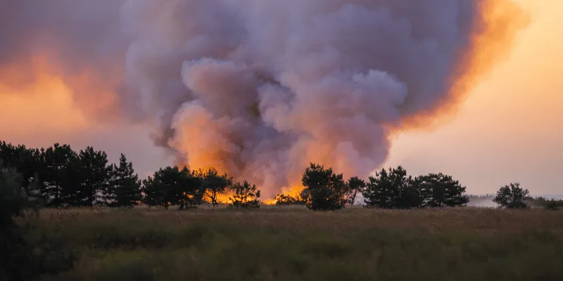 practical prepping tips
Picture outside in a field with fire in the distance