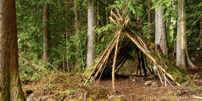 Bush craft / Survival shelter: Primitive shelter construction in a
