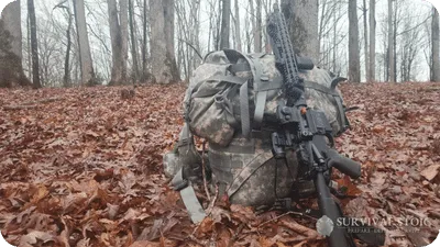 Bug out bag with a rifle in the woods