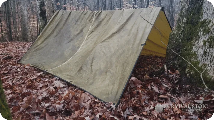 Survival Tent Shelter built with a tarp