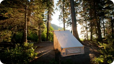 Canvas tent in the woods