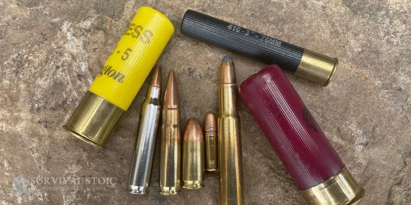 Handgun, pistol, rifle, and shotgun ammo