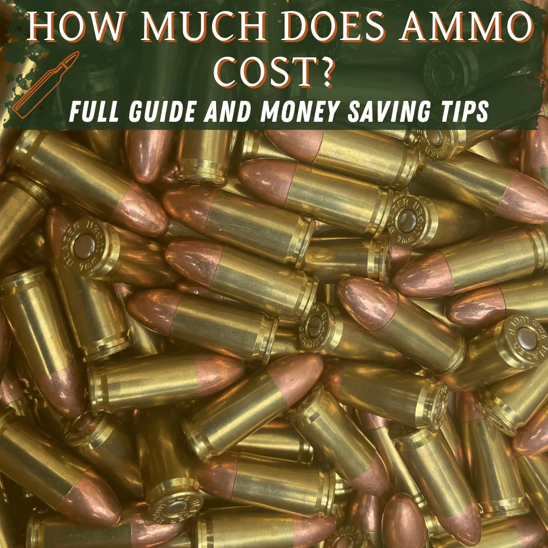 How much does ammo cost