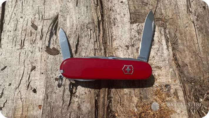 Swiss Army Knife Blades, large and small opened to show length