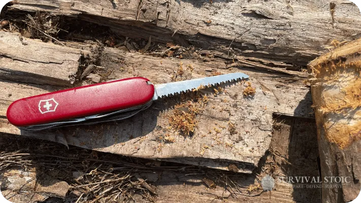Swiss Army Knife saw shown open with a piece of soft wood and fire tinder