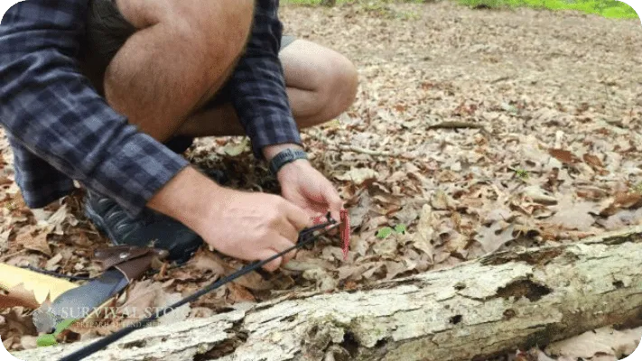 Best Tent Stake, shown in the woods being used by the author with a guy line attached