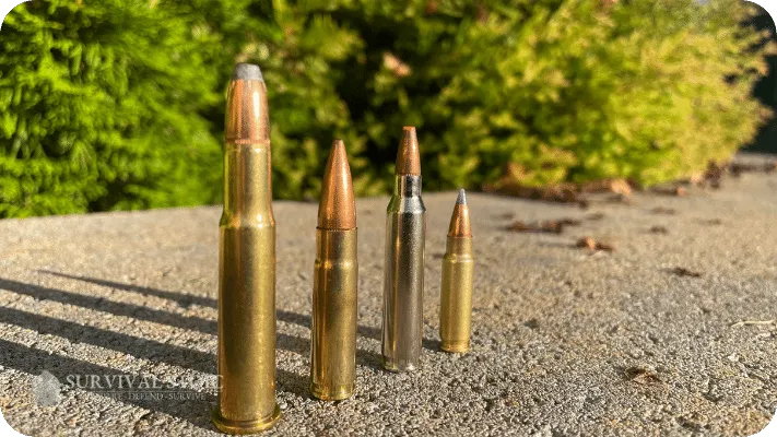 The Author's Rifle Bullets