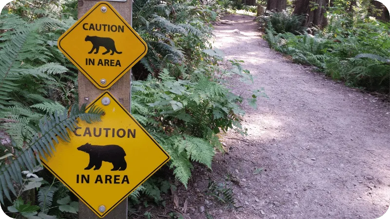 Signs showing wild animals in the area