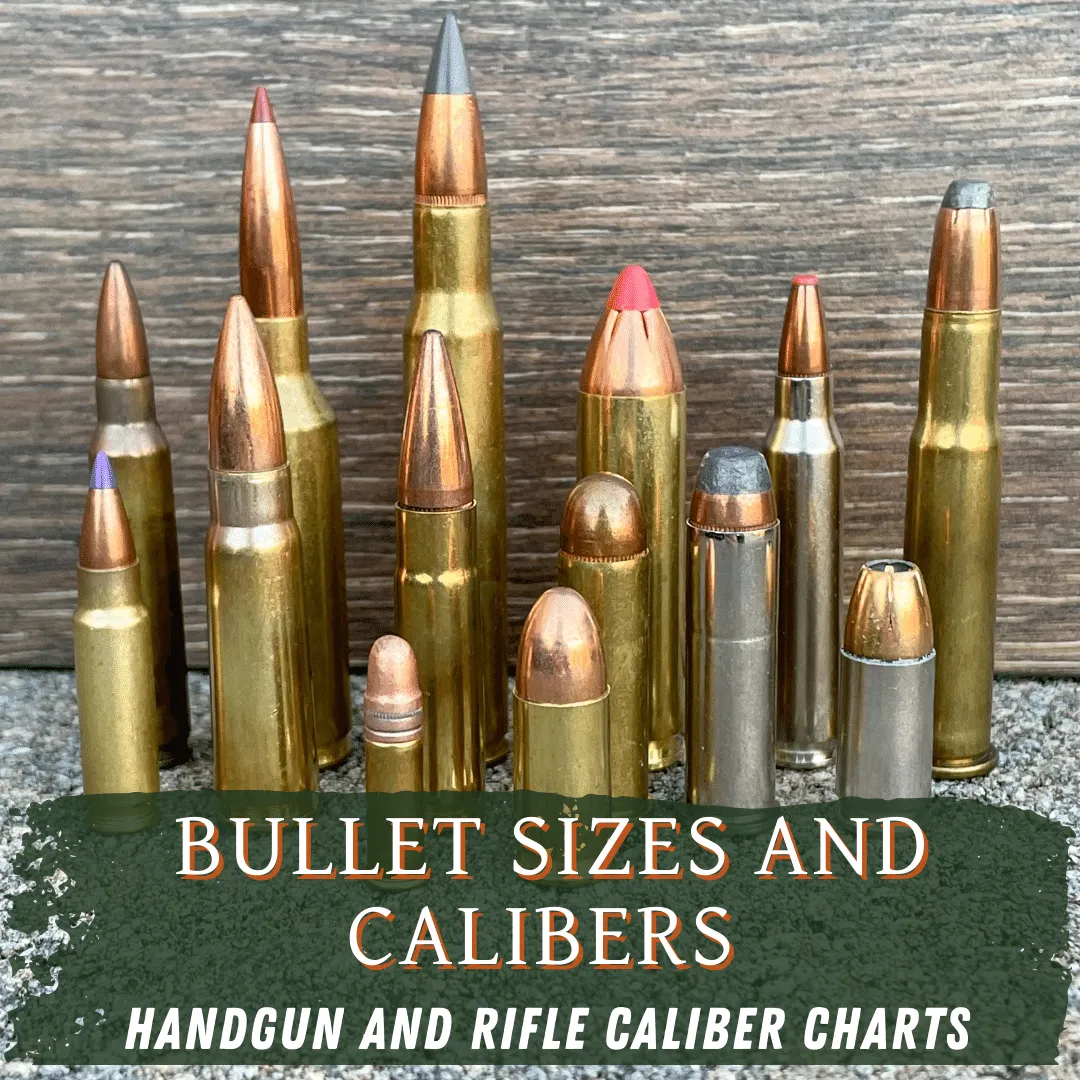 Bullet Sizes – Complete Guide And Caliber Charts