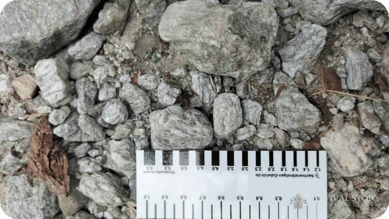 Kyt showing tracks on rocks